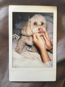 FullSizeRender 5.jpg