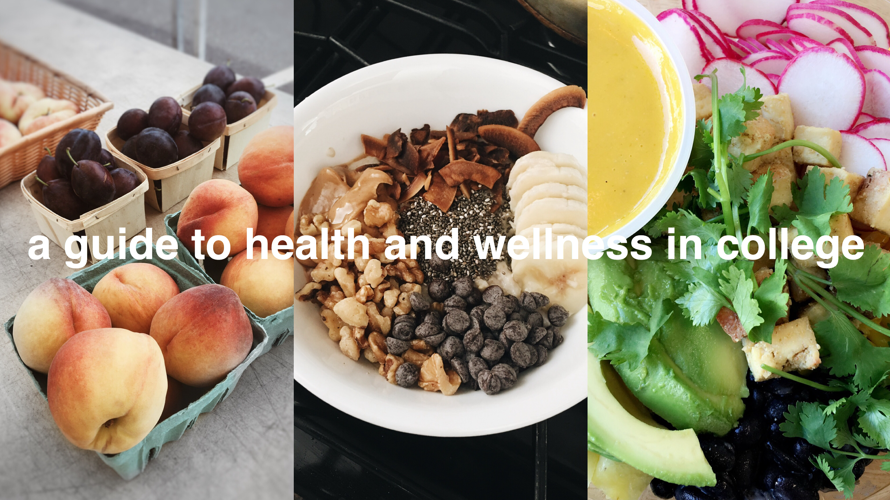 The Ultimate Guide To Staying Healthy In College – margot lee.